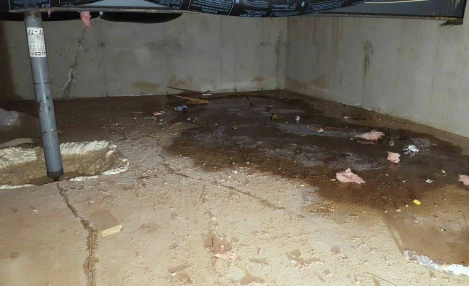 crawlspace waterproofing chicagoland area