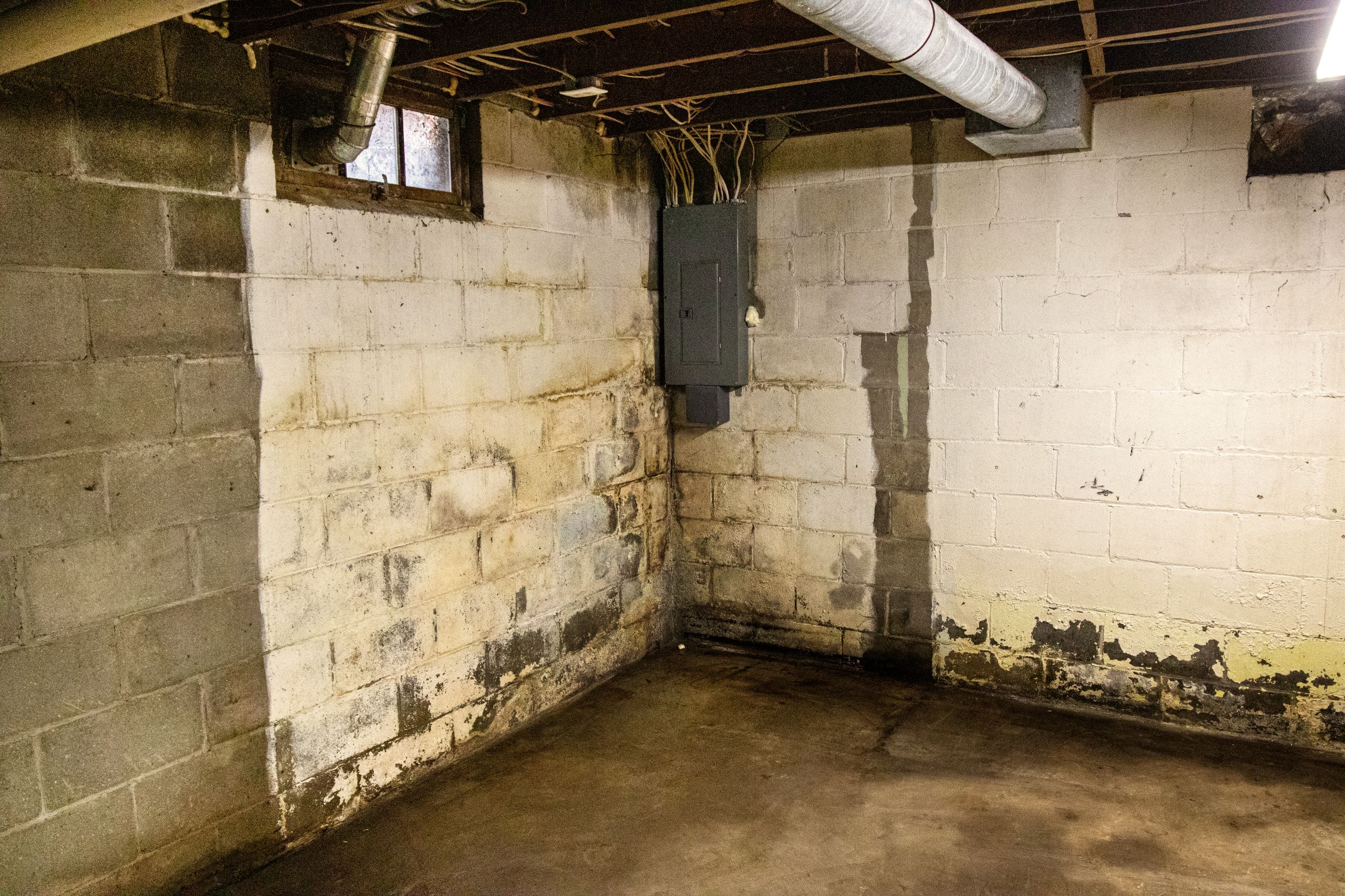 Wet Basements | Downers Grove, IL | Everdry Waterproofing Illinois