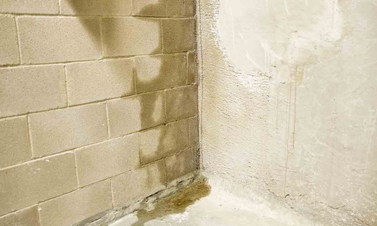 foundation-waterproofing-downers-grove-il-everdry-waterproofing-illinois-3