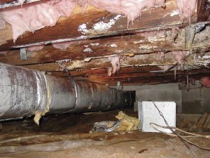 crawlspace-waterproofing-downers-grove-il-everdry-waterproofing-illinois-1