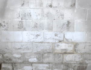 basement-waterproofing-bloomington-il-everdry-waterproofing-illinois-2