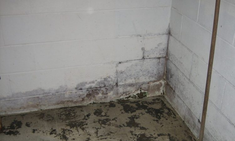 bowed-basement-walls-lisle-il-everdry-waterproofing-illinois-3