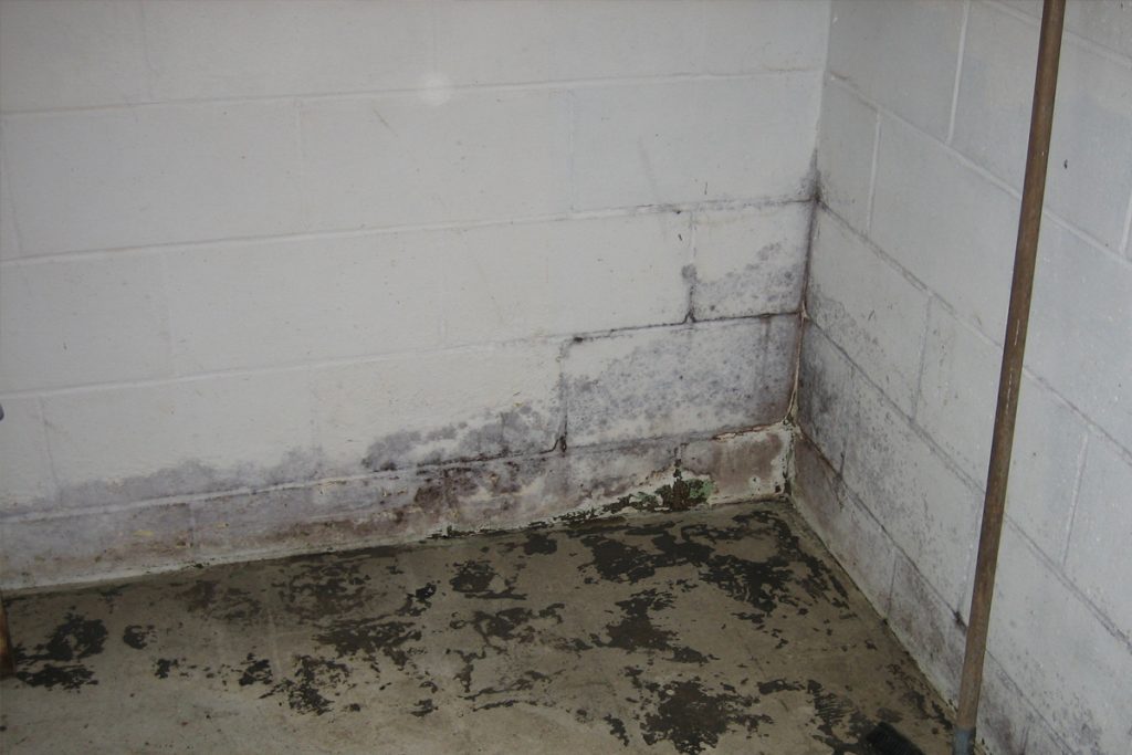 bowed-basement-walls-lisle-il-everdry-waterproofing-illinois-3