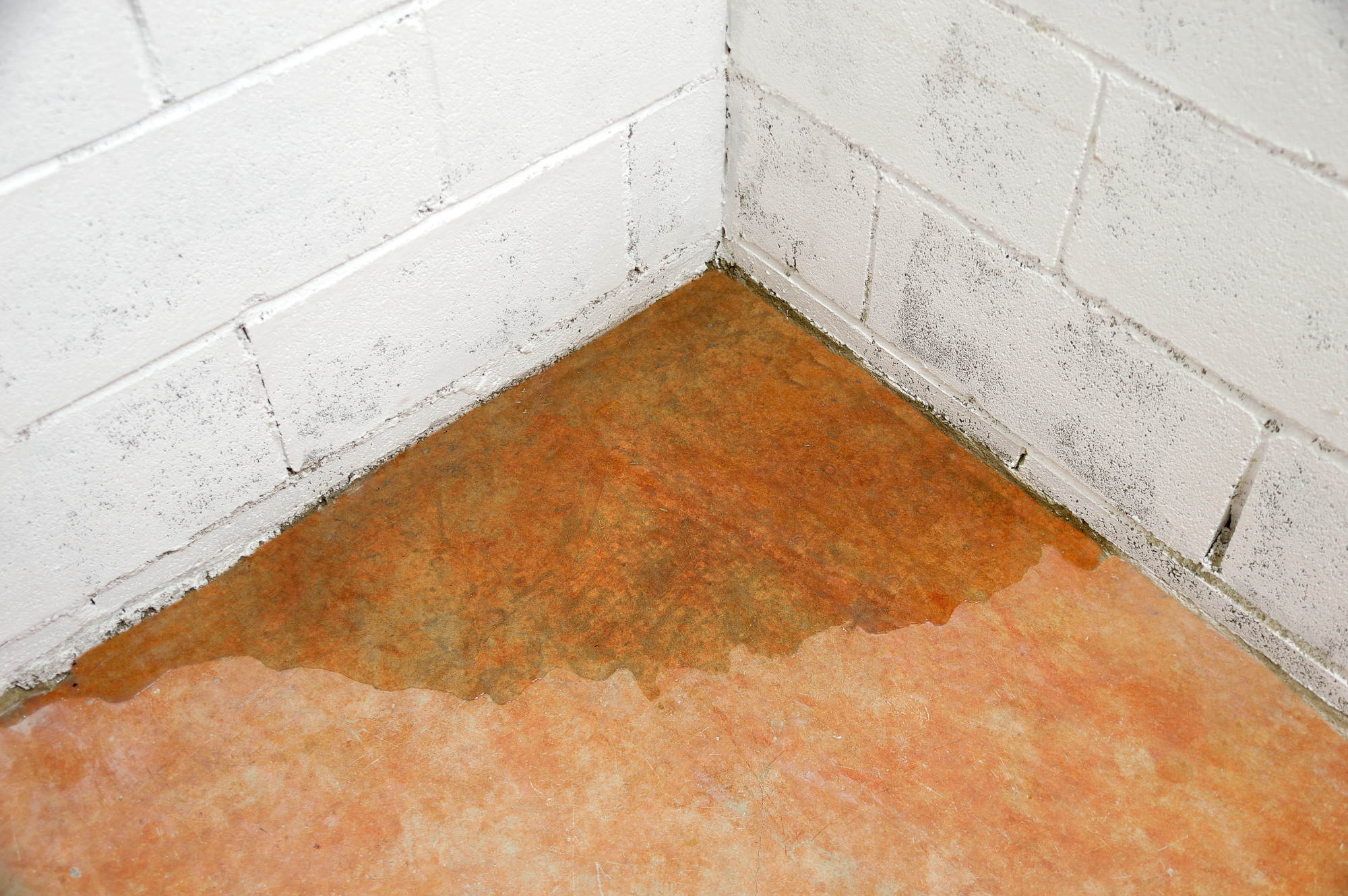 basement-moisture-downers-grove-il-everdry-waterproofing-illinois-3
